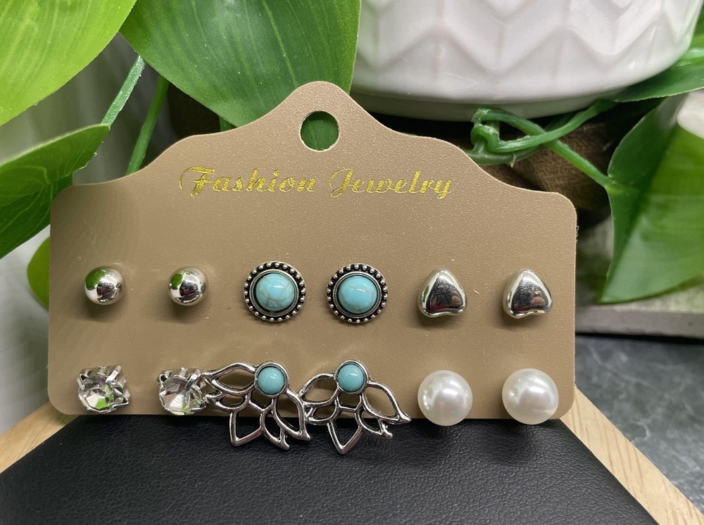 12 PC Matching Post Stud Earring Set Silver-Tone New Free Ship B7128