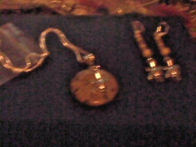 Silver turtles with Jasper