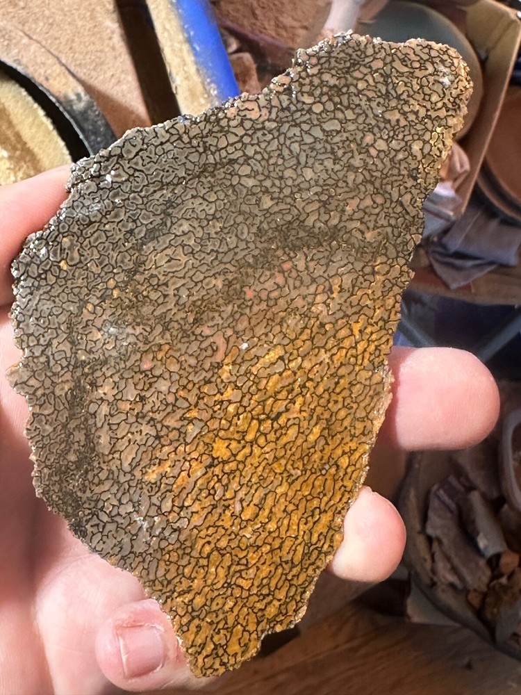Dinosaur bone rough **hxtled slab.