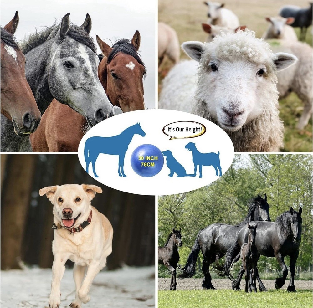 Horse Anti Burst Ball