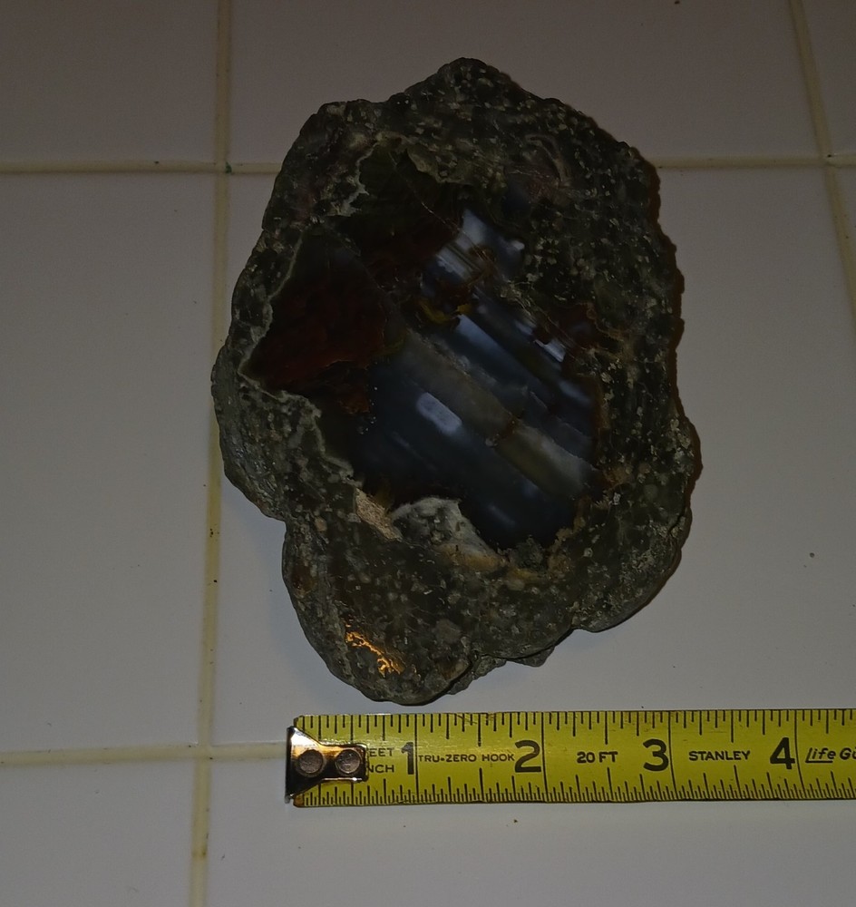 Polished Plume Agate Thunderegg Half (Oregon)