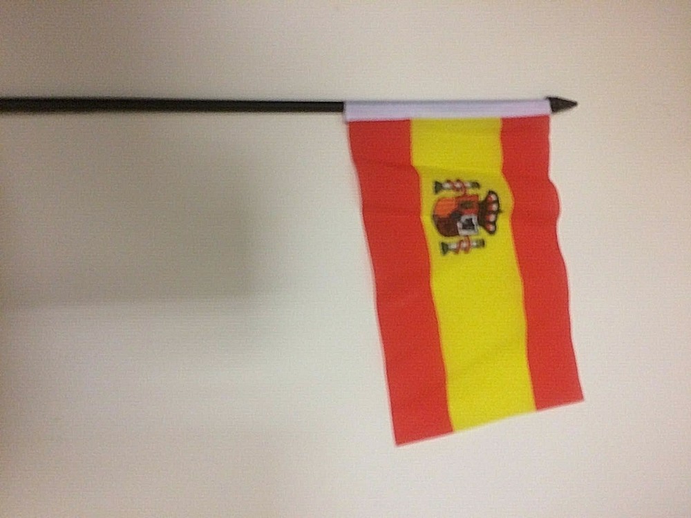 New 4" x 6" and 6" x 9" Hand Held Flags