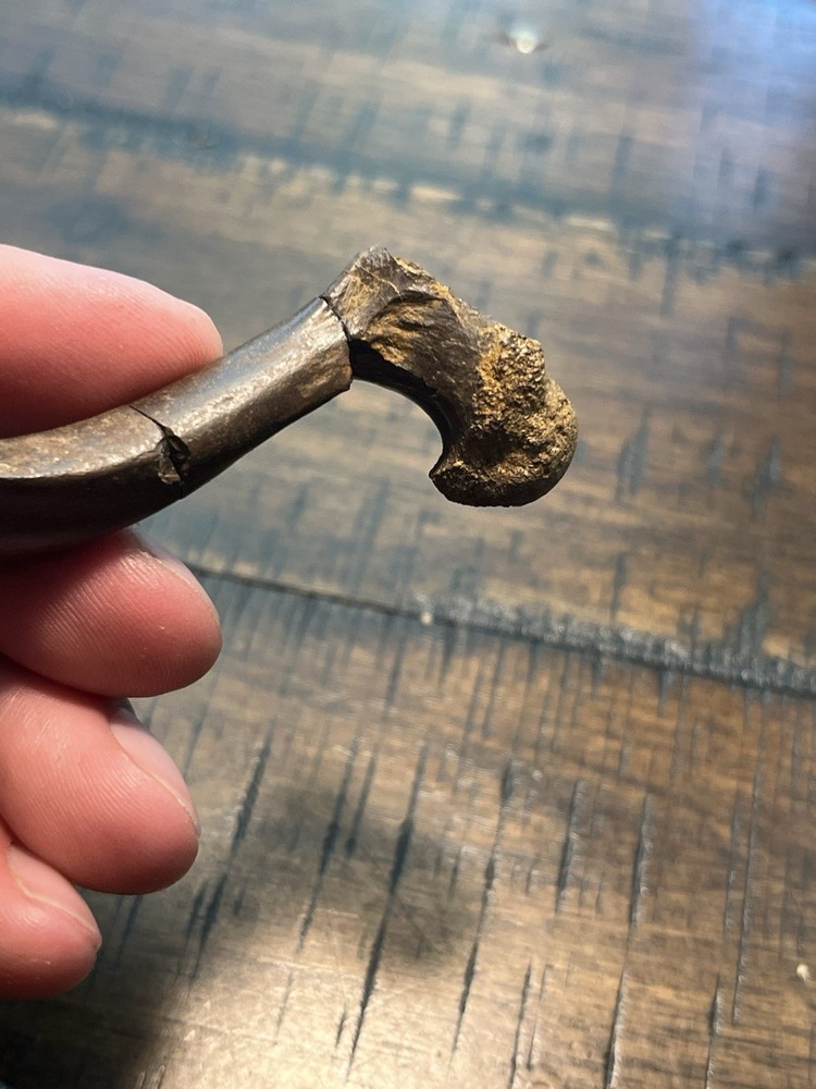 Turtle Humerus Dinosaur Age Fossil Hell Creek Form SD