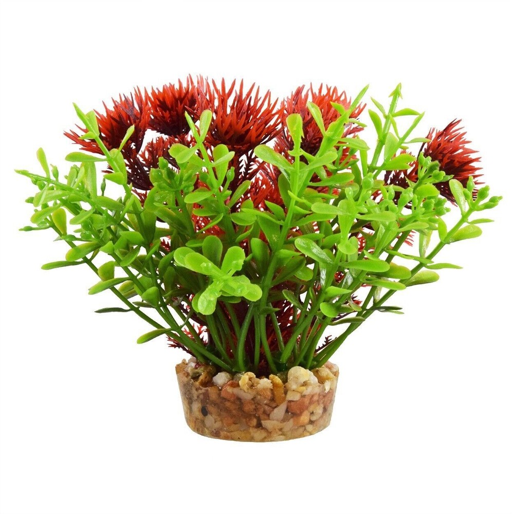 RA UNDERWATER TREASURES Bacomba - Red - 4" (3 Pack)