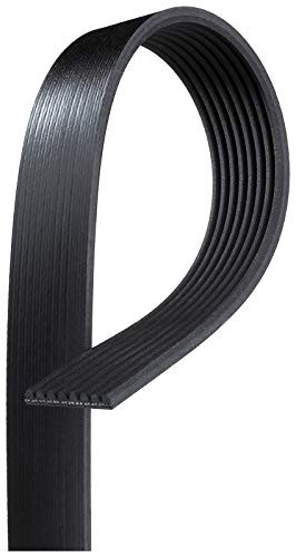 K081264 Belt