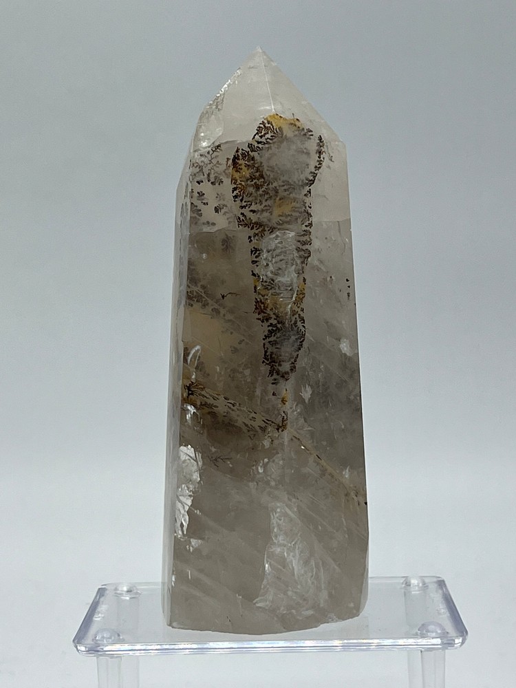 Dendritic Quartz H