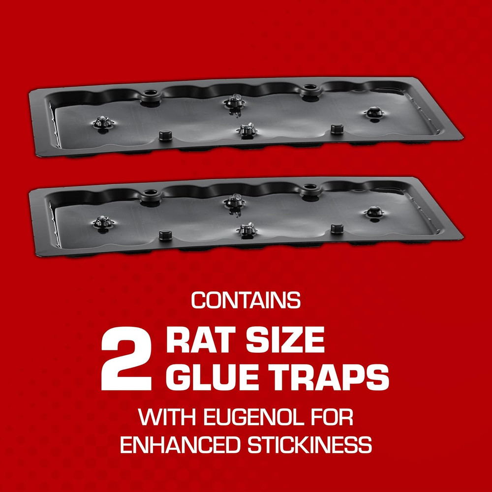 Glue Traps Rat Size with Eugenol for Enhanced Stickiness, 2 Traps/Pack (12-Pack)