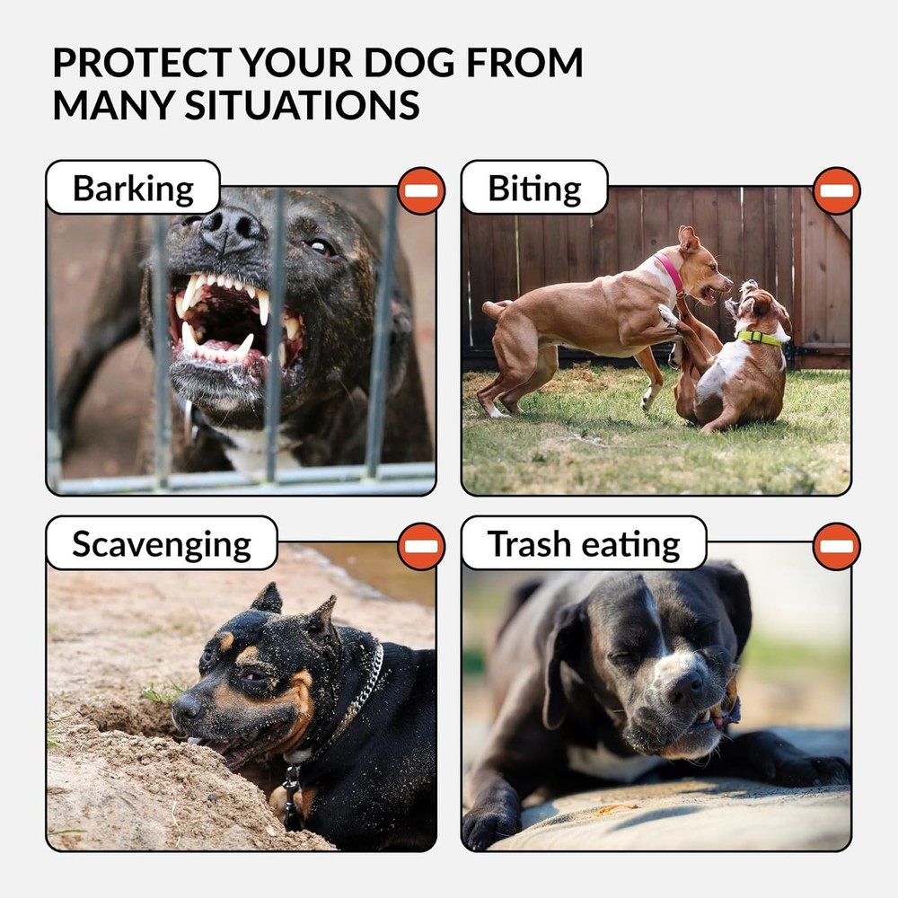 Pitbull Am Staff Basket Muzzle - Genuine Leather-