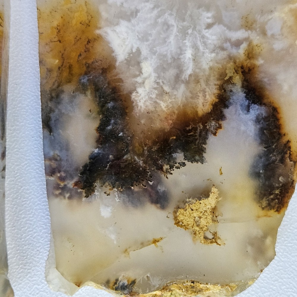 Nice Graveyard Plume Agate Lapidary Slabs 76 Grams