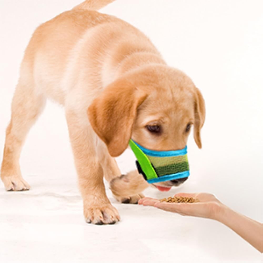 Dog Muzzle, Teal Mesh Soft Muzzle for Medium Dogs, Breathable Dog Mouth