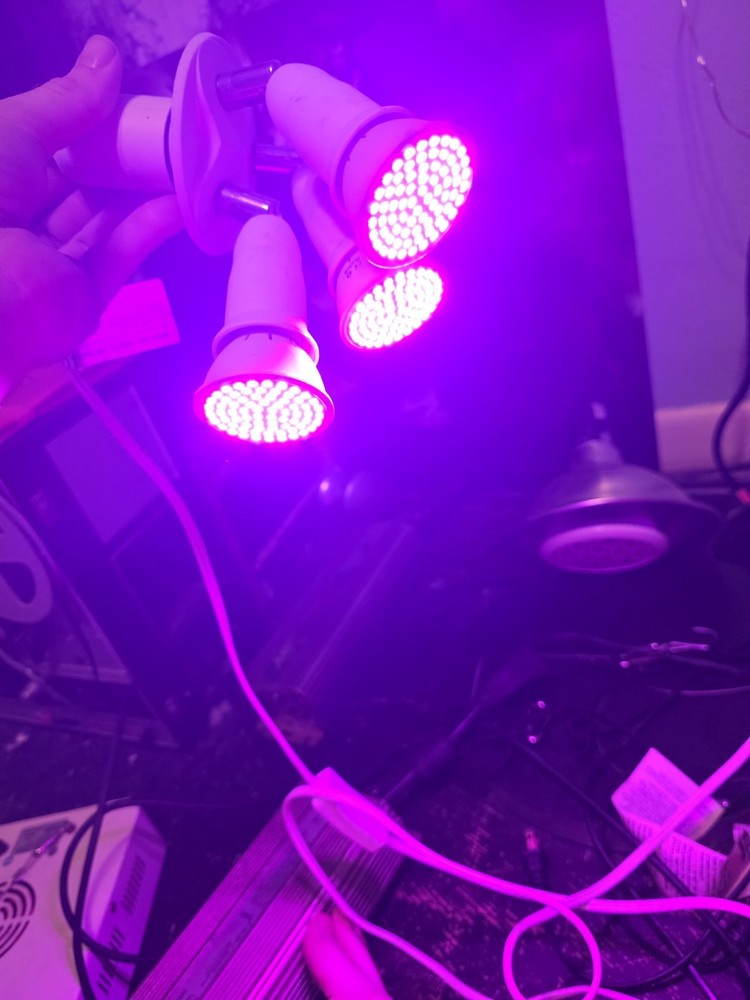 Grow Lights W/ Ballasts And Bulbs