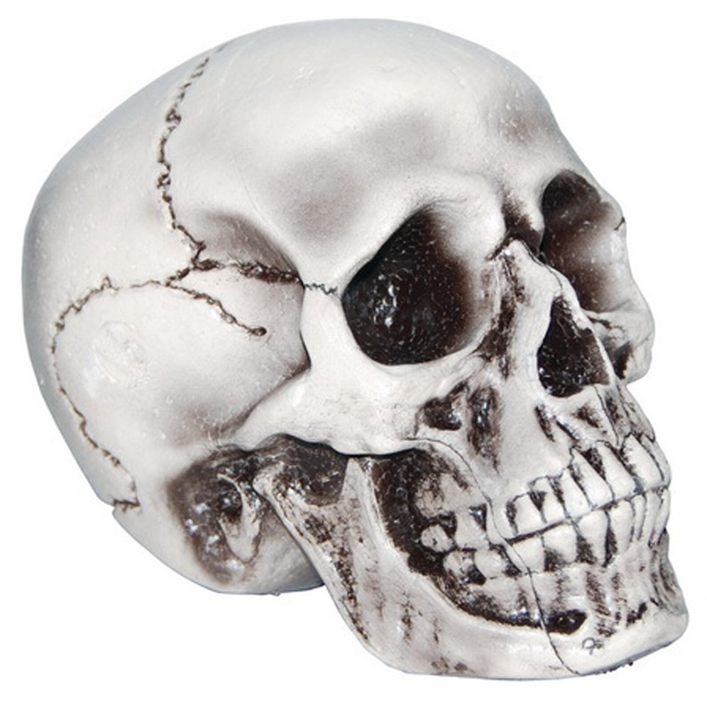 Sunstar Industries Inc. - 6 " Foam Skull