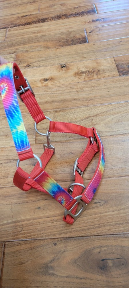 Rainbow Tie Dye Pony Halter Red Nylon Tack