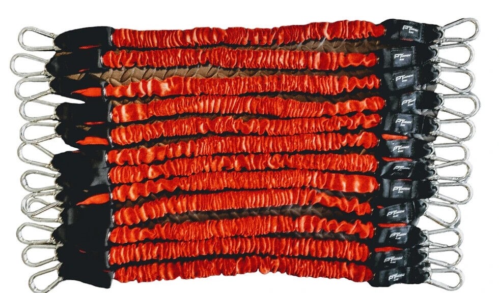 PT Bench Body Performance Red 8lb Band (12 Pack)