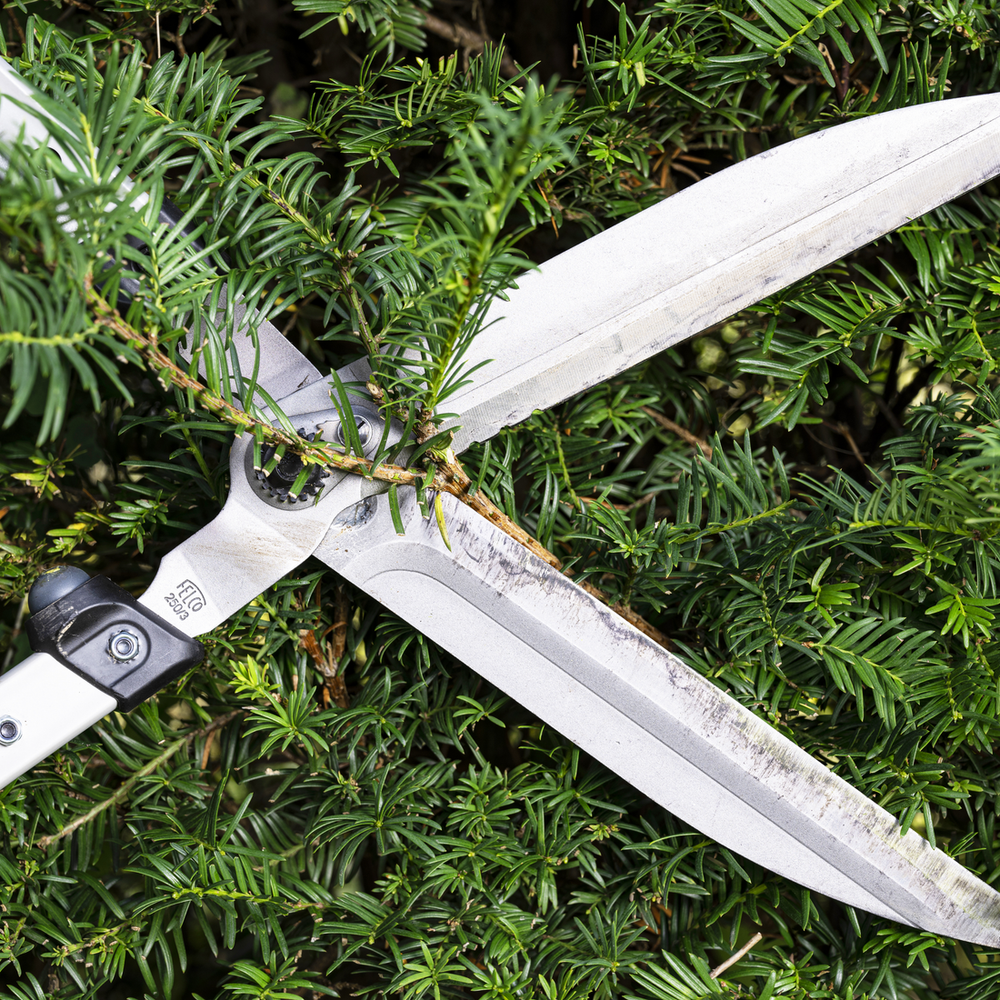 Felco 250-63 - 26in hedge shear