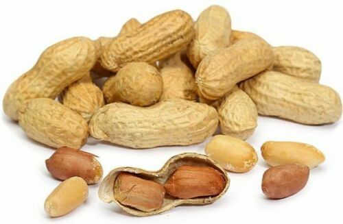 Hampton Farms Unsalted In-Shell Peanuts 5 lbs
