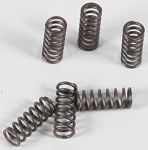 Ebc Clutch Springs Csk39 Clutch