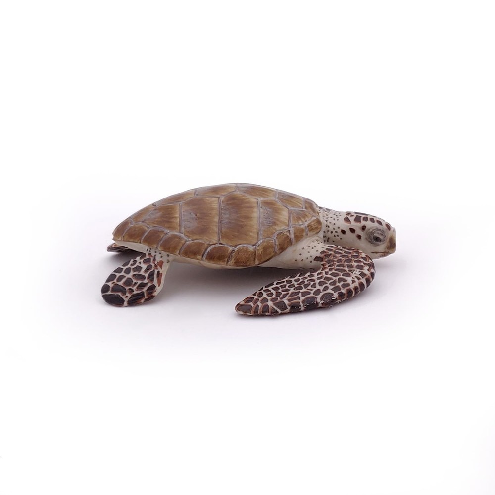 Papo - Loggerhead Turtle - from 3 Years Old - Marine Life Small, Multicolor