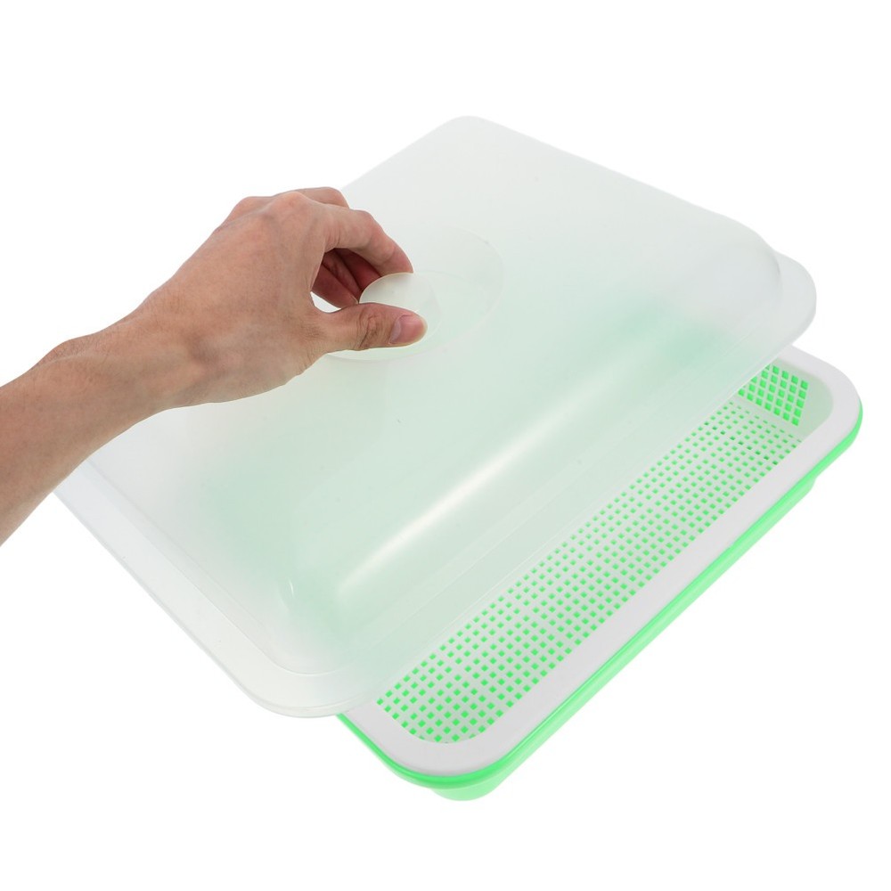 Vegetable Sprouting Container Garden Tray Microgreens Growing Trays