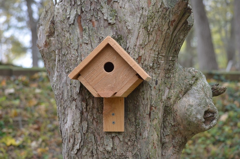 Cedar Wren House - Wall Mount