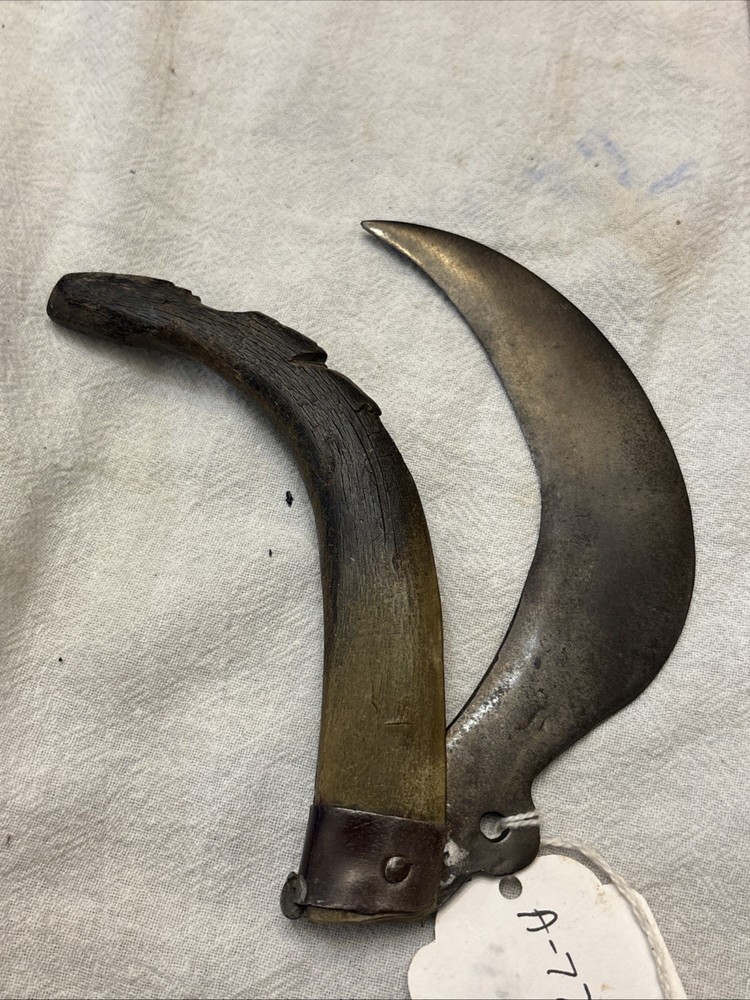 Vintage Mexico Knife Folding Saca Tripas Single Blade Horn Handle. Nice &Sharp