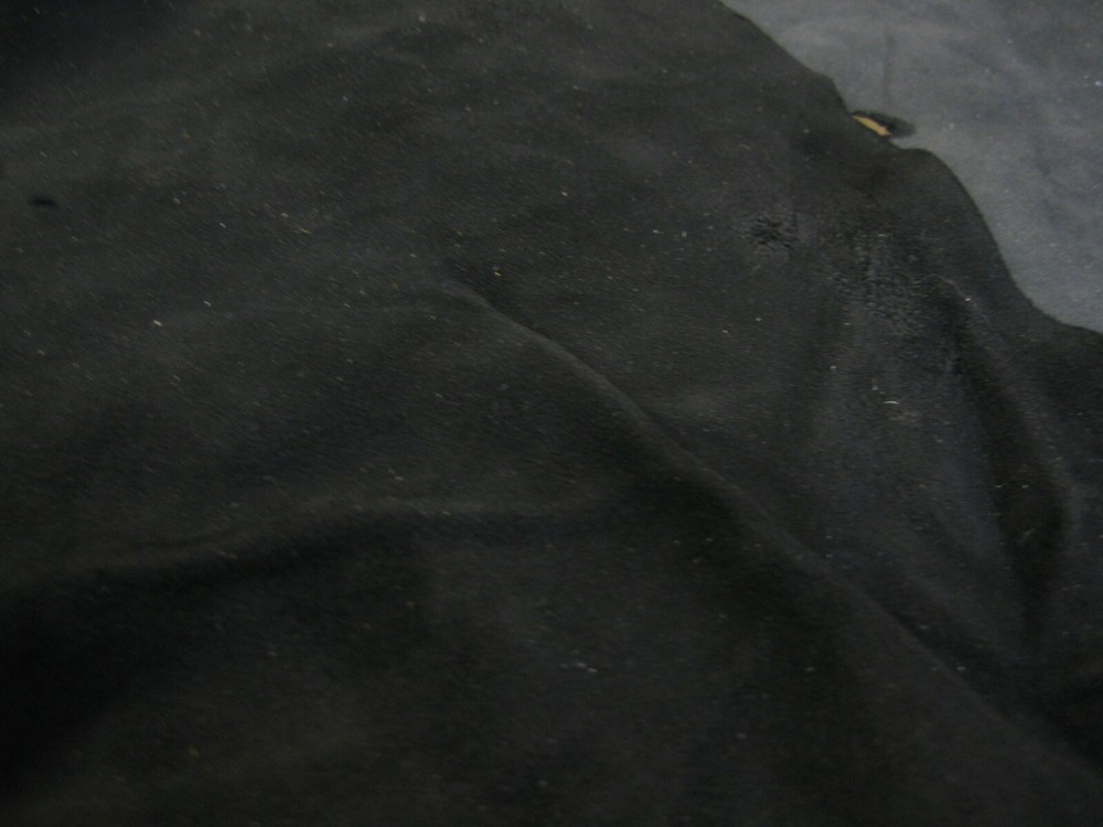 Buffed Top Grain Deer Leather # 0012681 Row 82