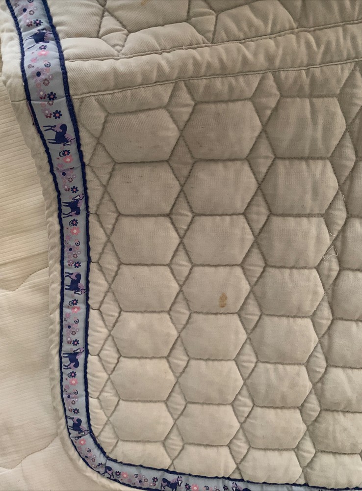 Ovation All Purpose Saddle Pad With Ponies All Around Edge