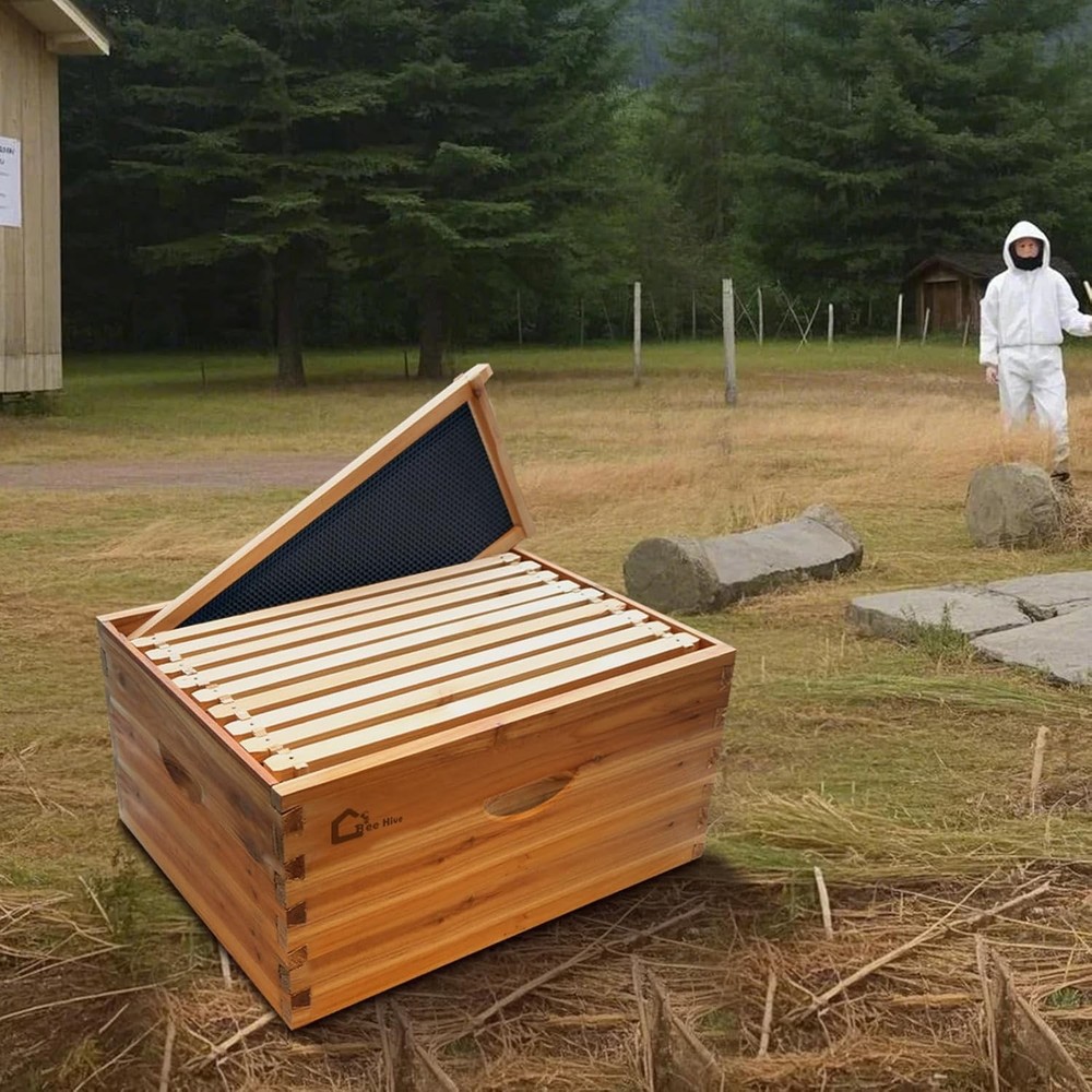 10-Frame Langstroth Deep Beehive Box with Wax-Coated Frames & Foundation Sheets