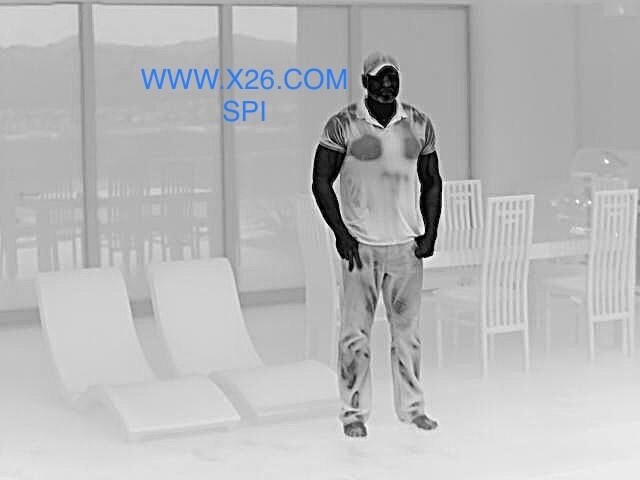 Long range thermal camera HD FLIR PTZ IP stabilized security imaging IR Vision