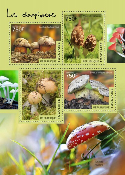 2014 TOGO MNH. MUSHROOMS   |  Y&T Code: 4138-4141  |  Michel Code: 6101-6104