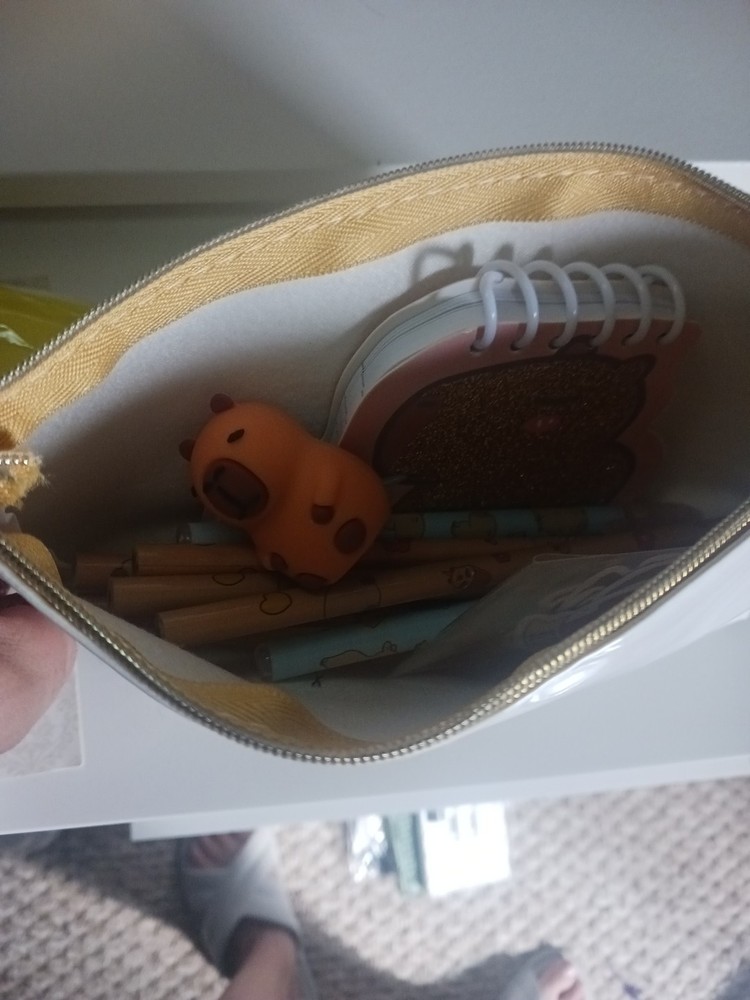 Cappybara Pencils, Pen, Stickers, Sharpener With Pouch