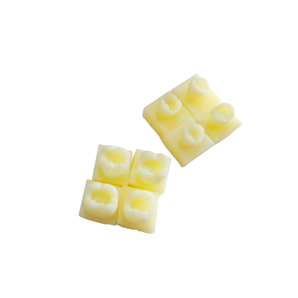 Dental Caries Decay Teeth Model Tooth Simulate Class Ⅱ Resin Restore Template