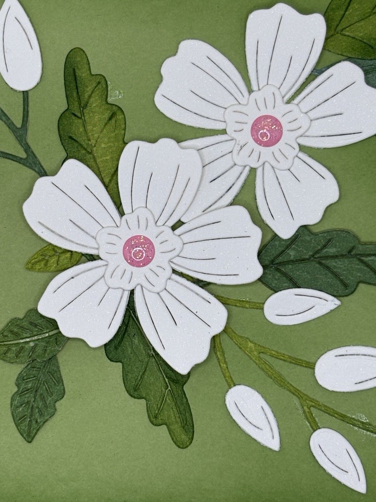 Every Occasion Card