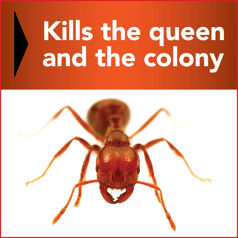 Fire Ant Killer with Acephate , Powder Treatment Pest, 12 Oz. Bottle