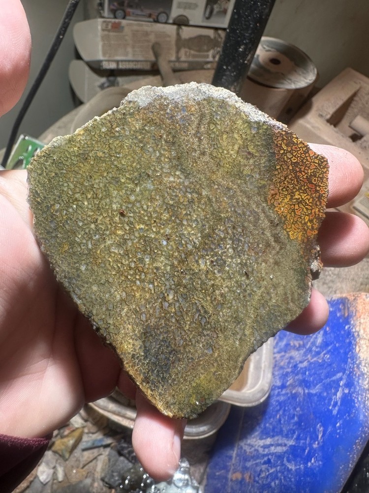 Dinosaur bone rough **hxtled slab.