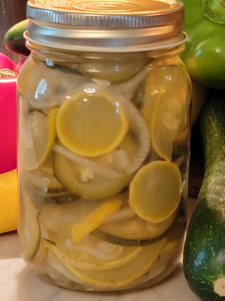 HS RANCH Pickled Summer Squash (3) 16oz Jars Pantry Pack