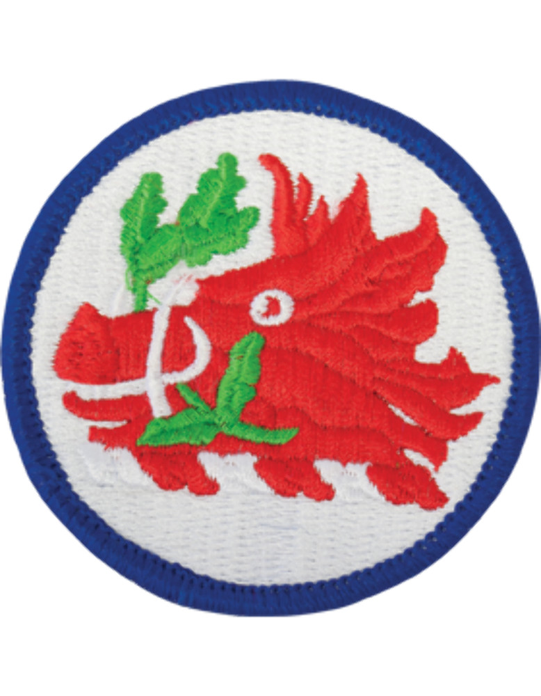 Georgia National Guard Patch