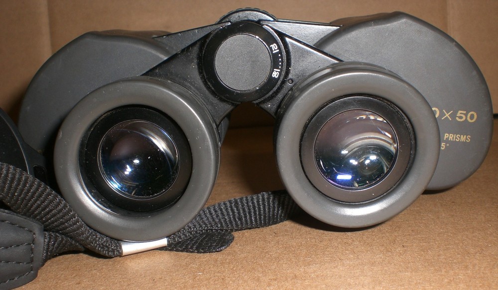 Burris 10x50 Binoculars