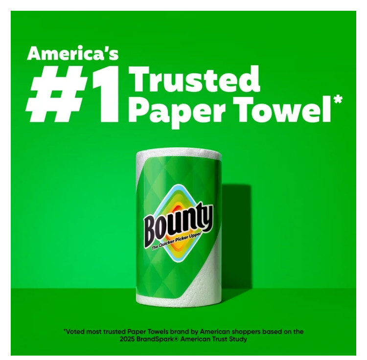 Select-A-Size White Paper Towels 6 Mega Rolls 164 Sheets Each