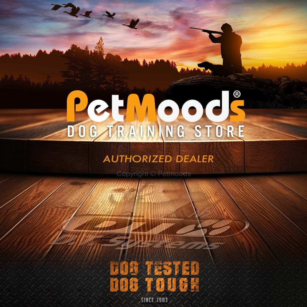 DT Systems DD700 D.O.G. Director 700 Yard Range Training System MAXX-Range 360°