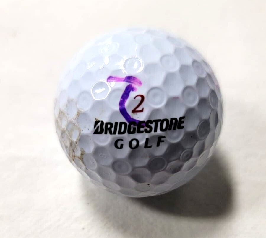 Lisa Loves Ross Print Logo Golf Balls (Bridgestone E) ~ AAA