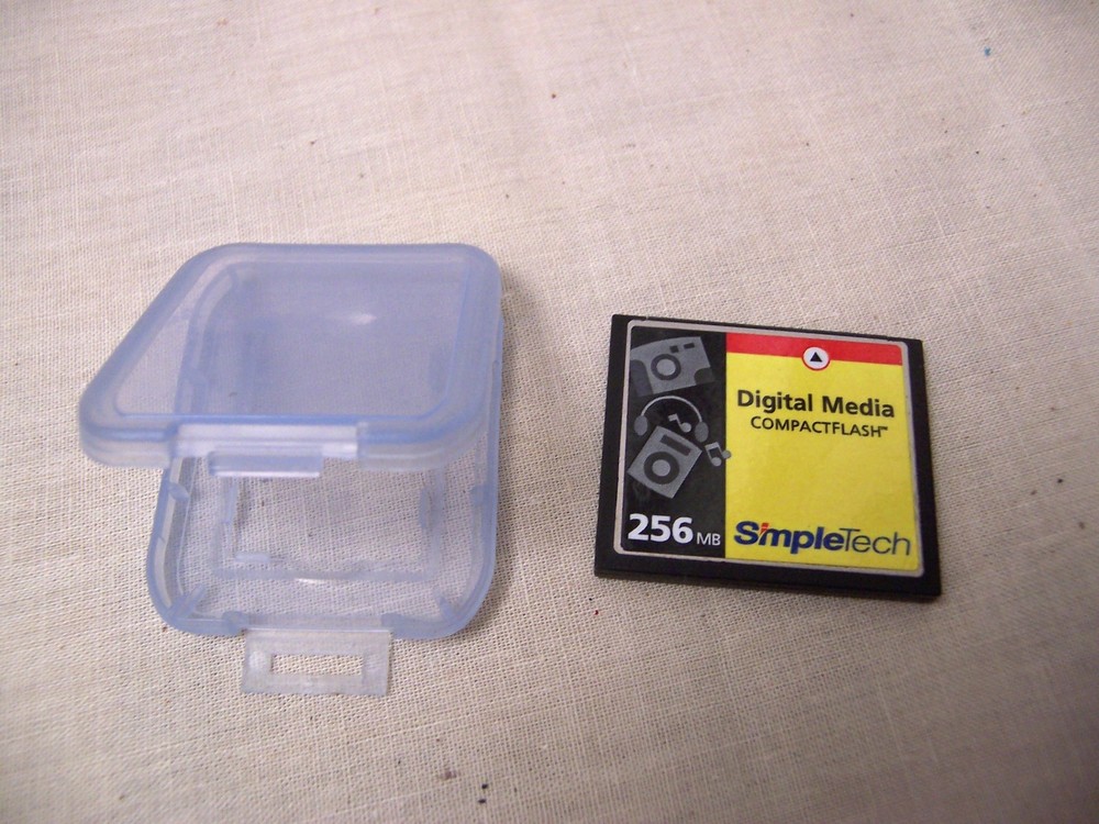 SimpleTech Compact Flash - 256 MB with case - untested