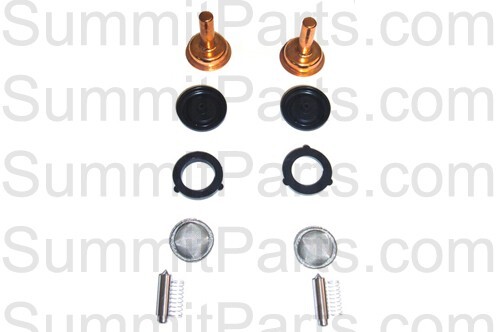 W7438K2 DOUBLE QFV VALVE KIT