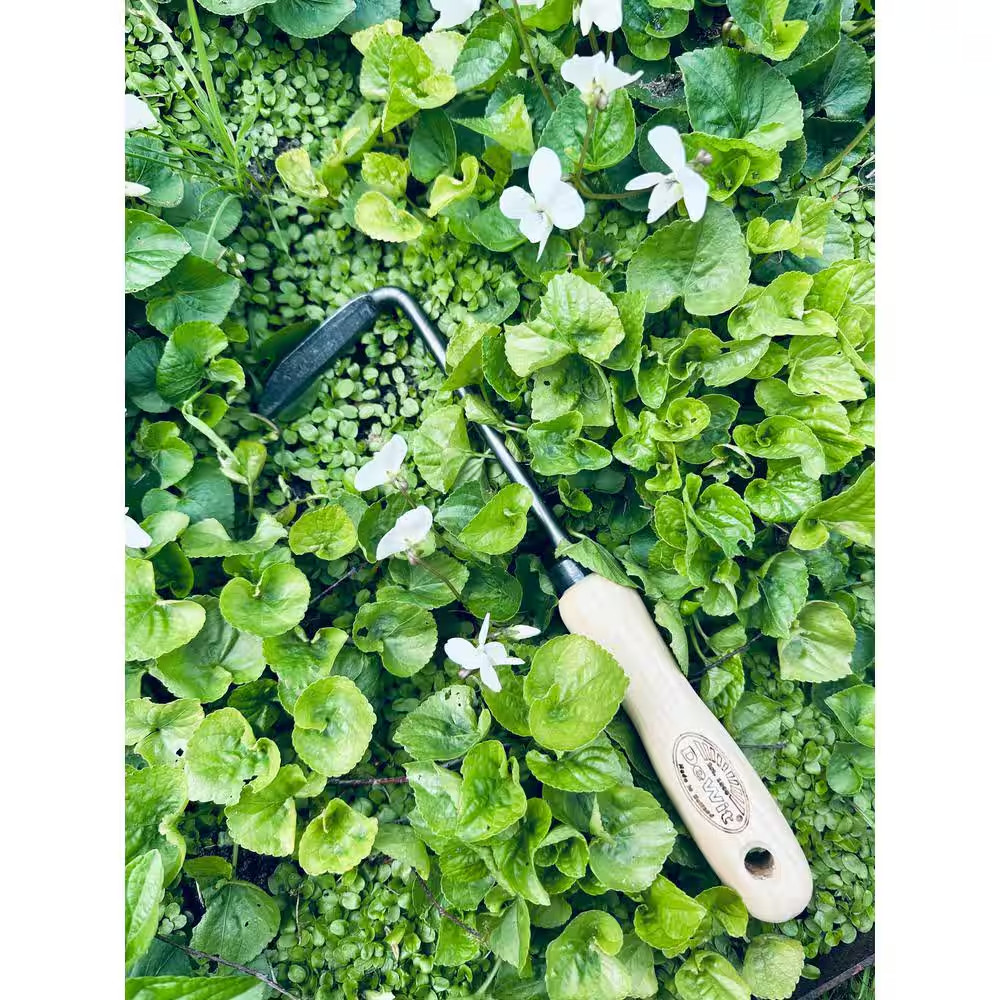 10.5 In. L Right Hand Cape Cod Weeder, Handle 5 In. L