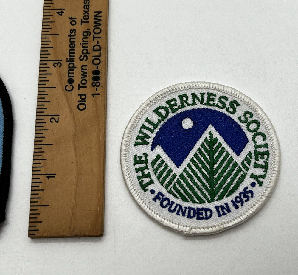2x Patch - National Forests In Texas WILDERNESS - Forest Service Shoulder Patch