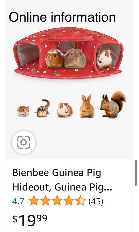 Guinea Pig Hide-Out With Bed NEW