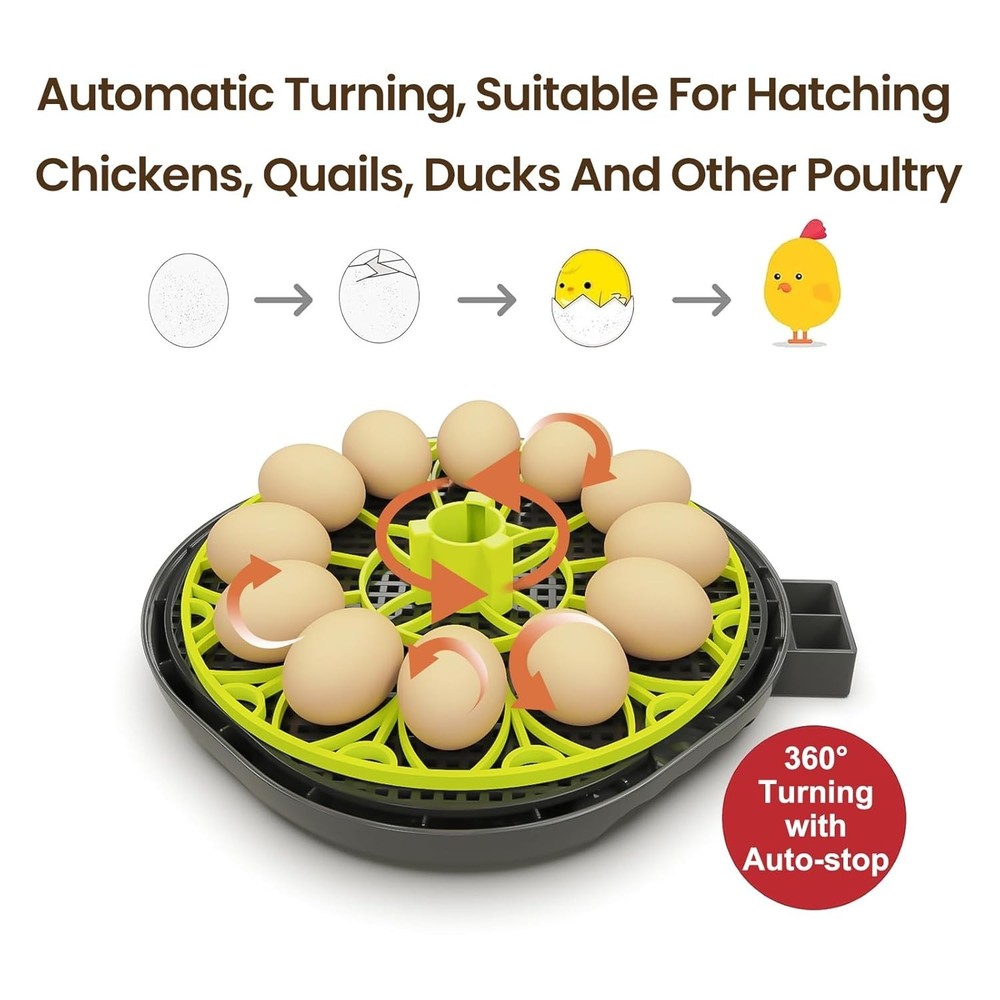 12-Egg Incubator with Clear Observation & Humidity Management System