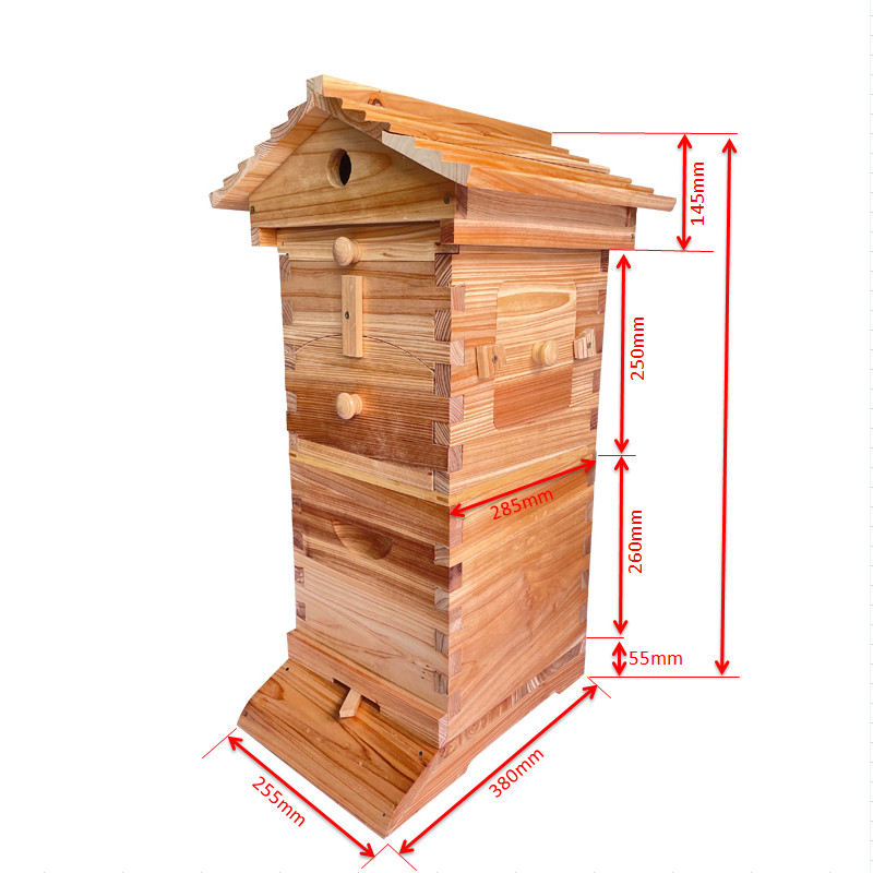 MINi Auto Bee Hives Honey House Bee Hive Boxes +10x Bee Beekeeping Frames US