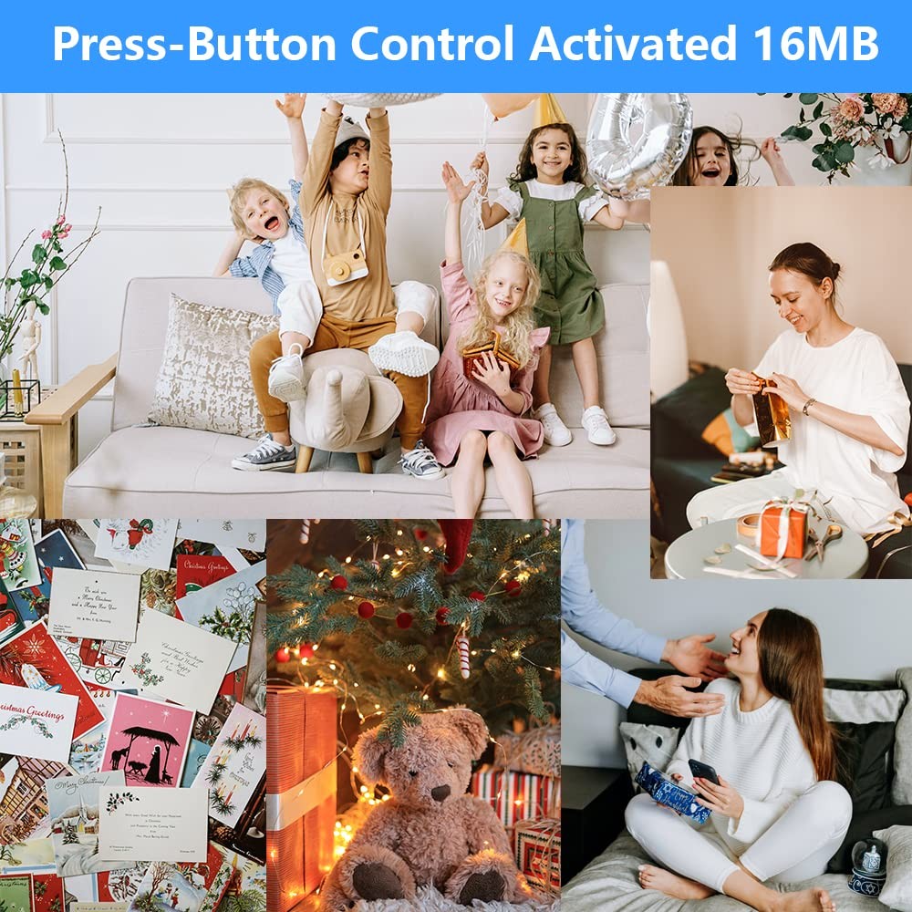 Module - 16MB Push Button Activated Sound Module with Speaker, Type-C Cable, ...