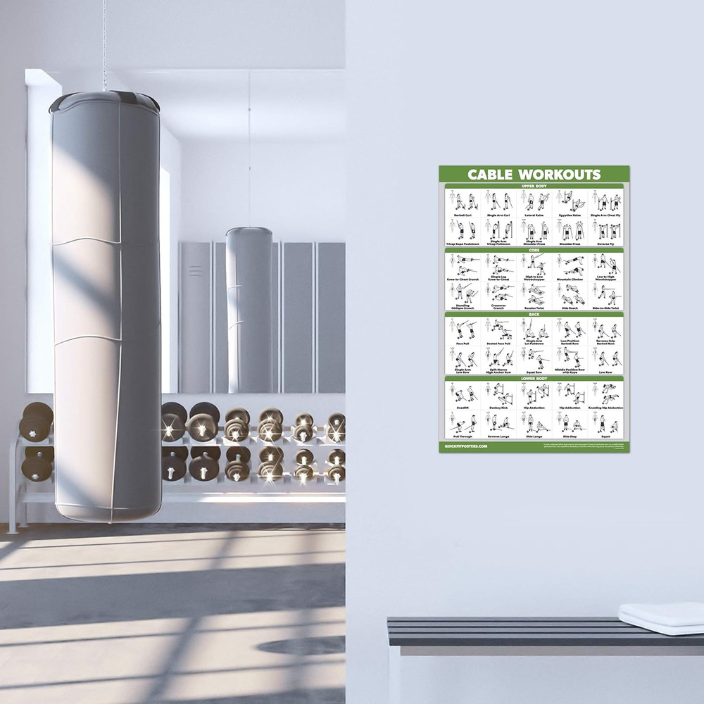 Learning 3 Pack - Dumbbell Workouts + Barbell Exercises + Cable Machine Workouts